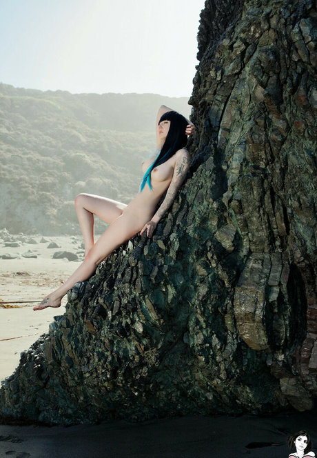 Bob Suicide