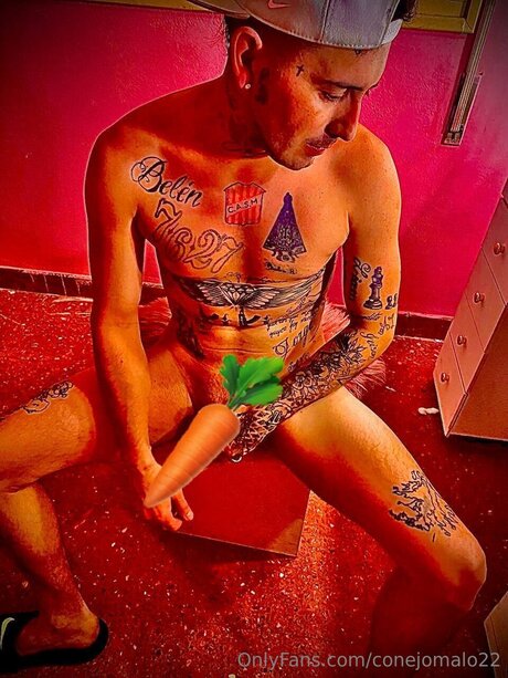 Обнаженная фотография утечки OnlyFans от Conejomalo22