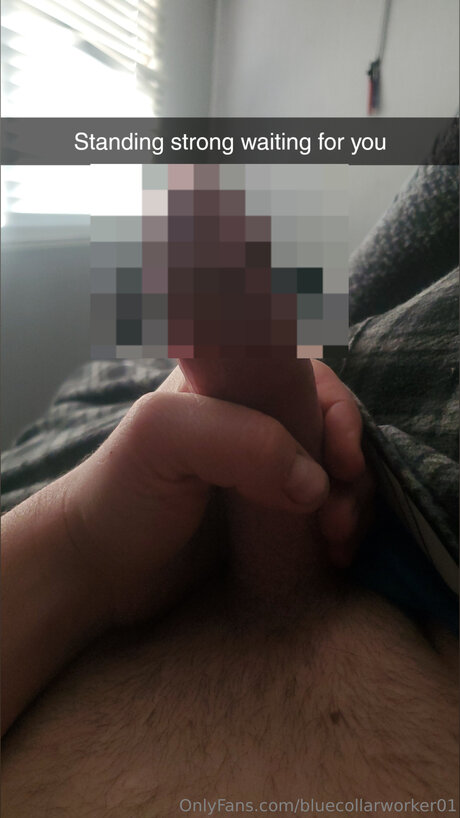 Bluecollarworker01