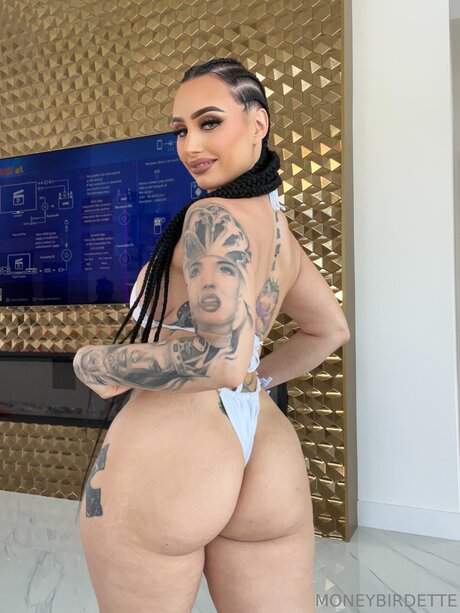 Moneybirdettevip