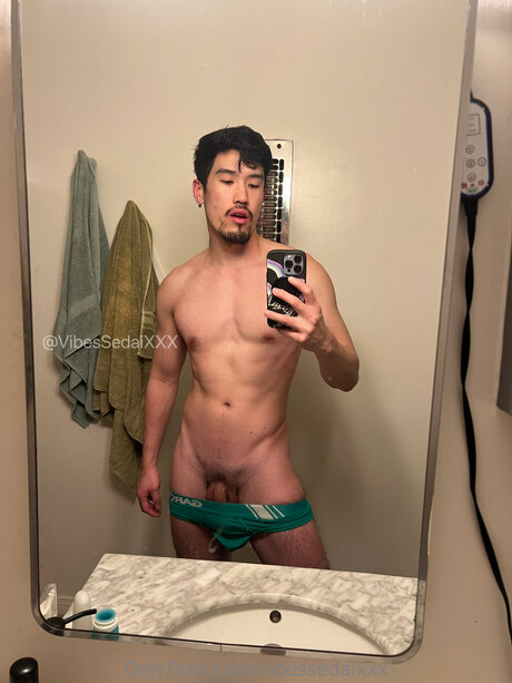 Foto di nudo di fuga di OnlyFans di Vibesxxx
