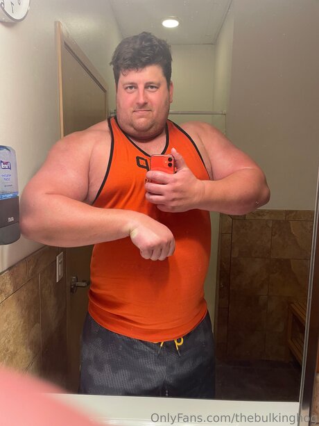 Thebulkinghog
