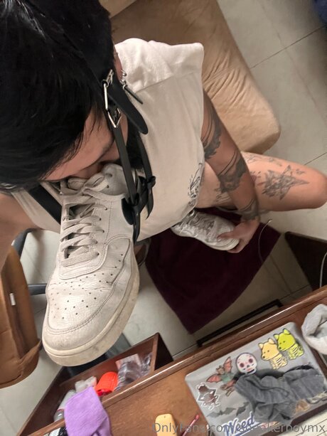 Sneakerboymx