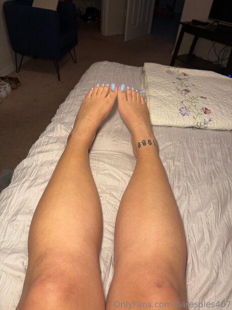 Baresoles407