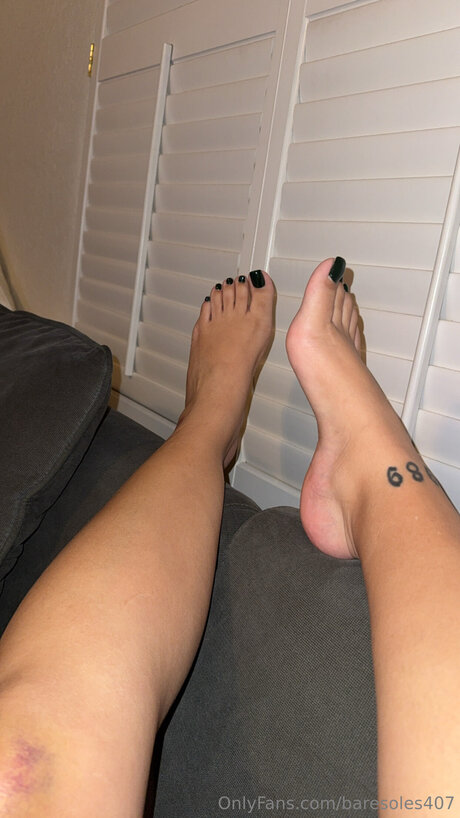 Baresoles407