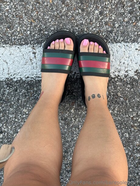 Baresoles407