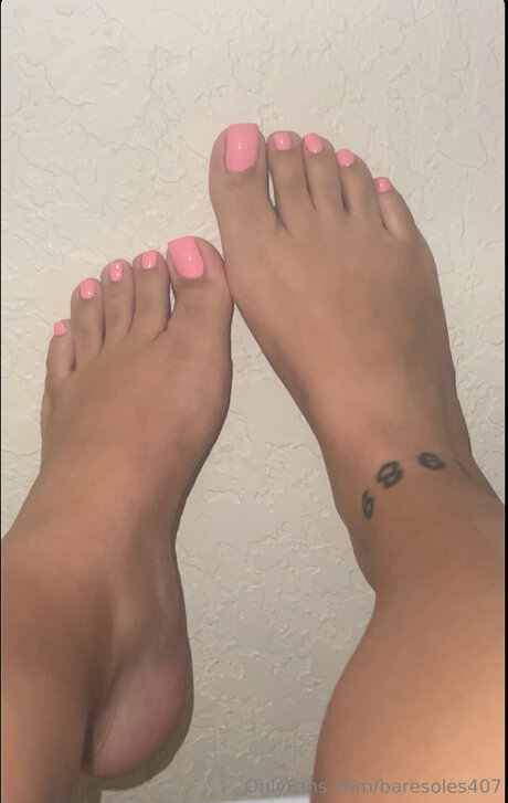 Baresoles407