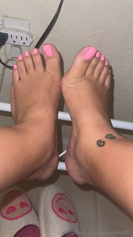 Baresoles407