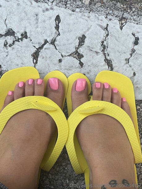 Baresoles407