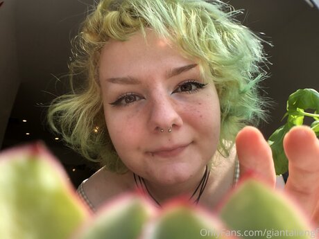 Giantaliengf