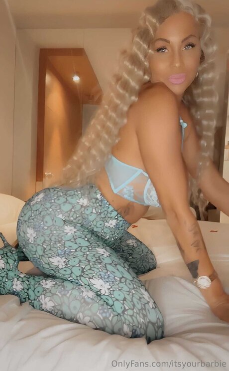 Itsyourbarbie