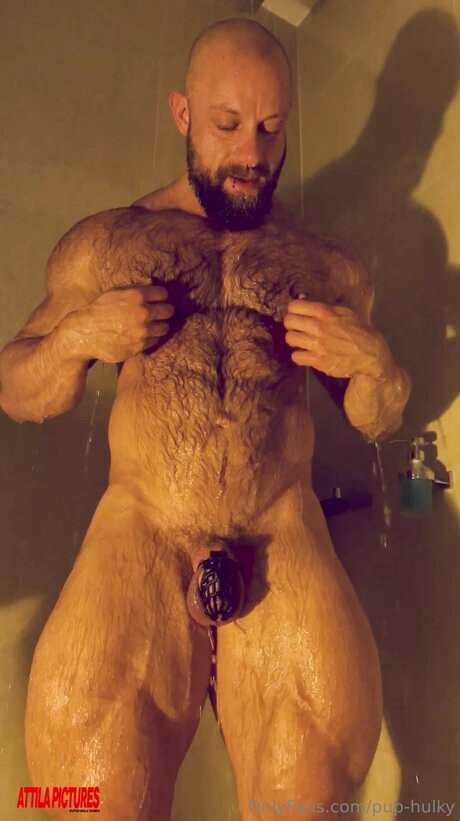 Pup Hulky