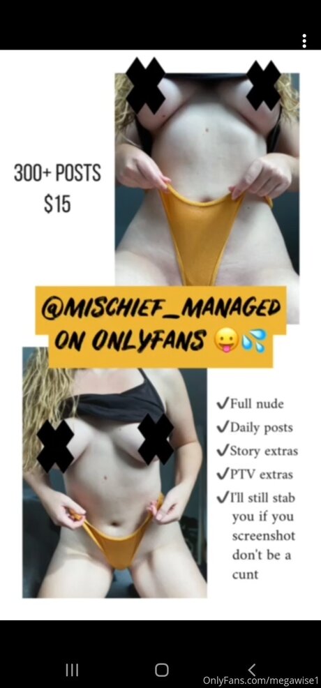 Megawise1