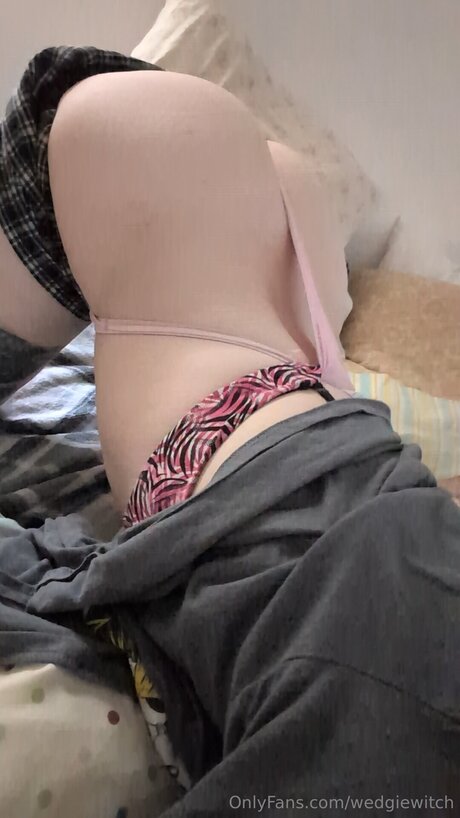 Wedgiewitch