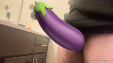 Domdylan