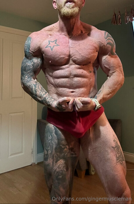 Gingermuscleman