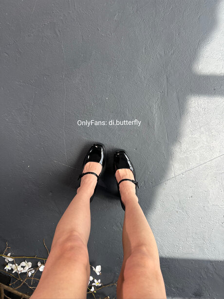 Di Butterfly