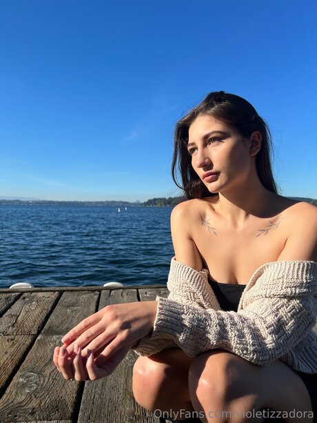 Violetizzadora