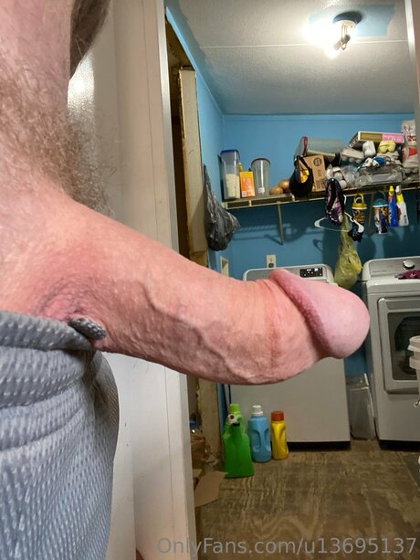 U13695137