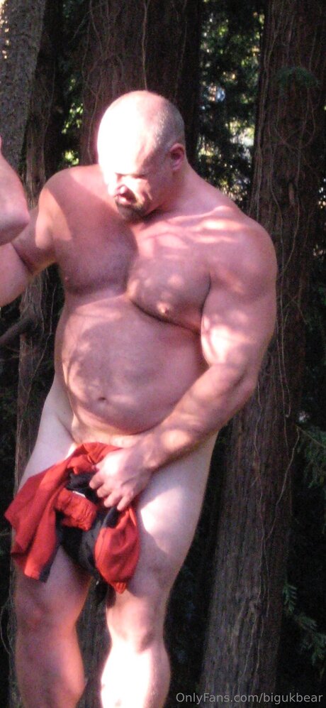 Bigukbear