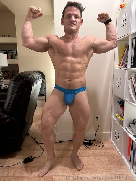 Gayvittlesfree