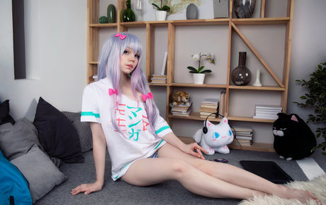 Caticornplay