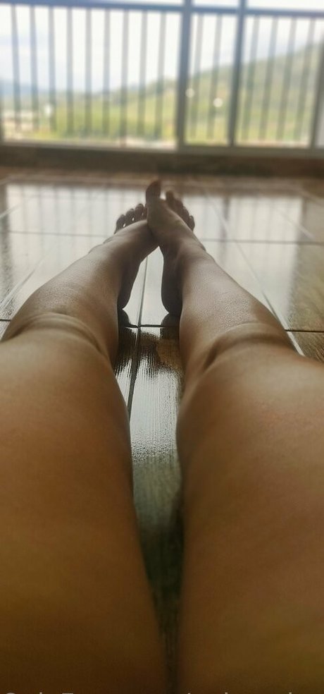 Palomalopezfree
