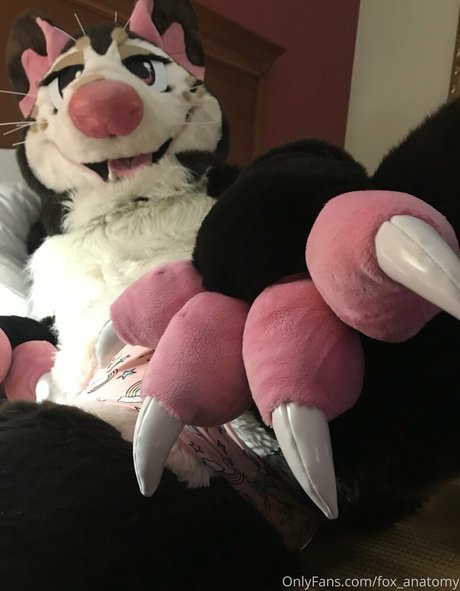 Foxanatomy