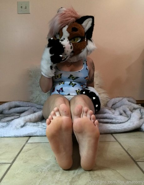 Foxanatomy