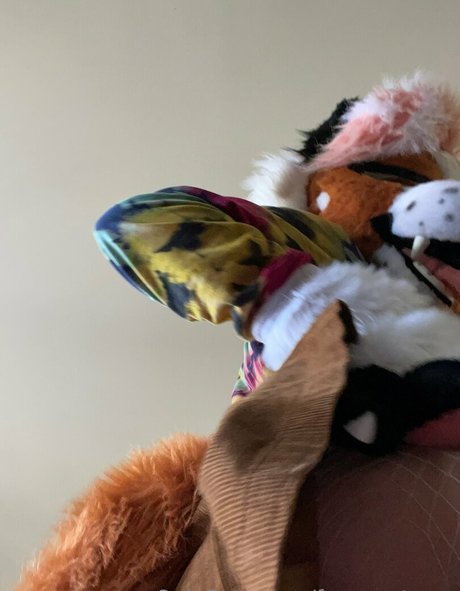 Foxanatomy