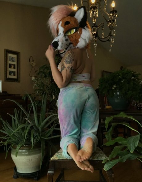 Foxanatomy