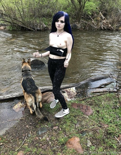 Mollyrot