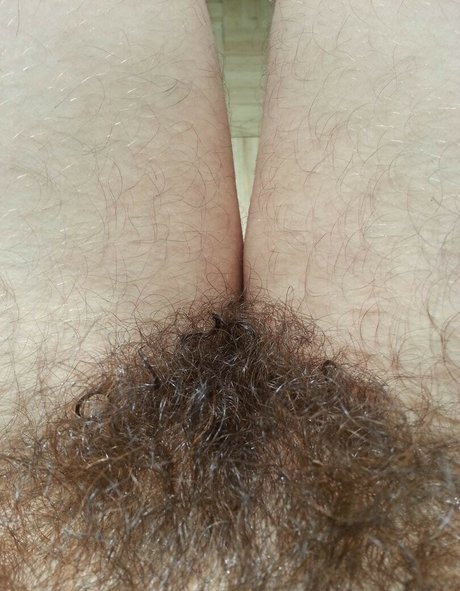 Eroicaforest
