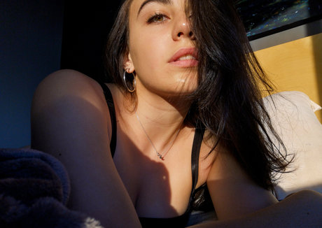 Lanzii