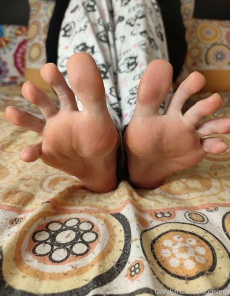 Torislegs