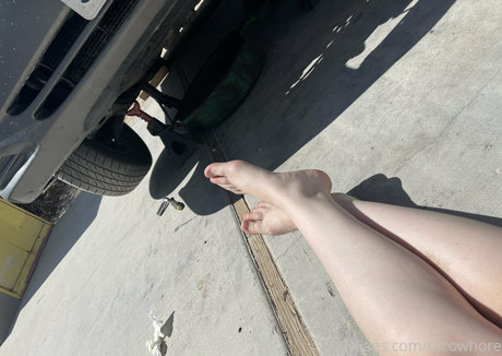 Tacowhore