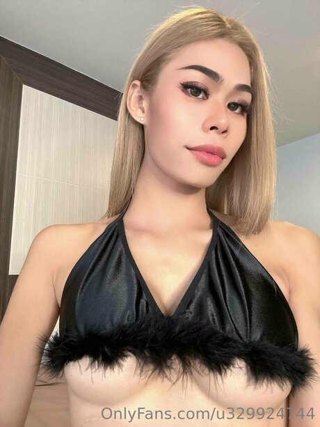 Starlitsylvia