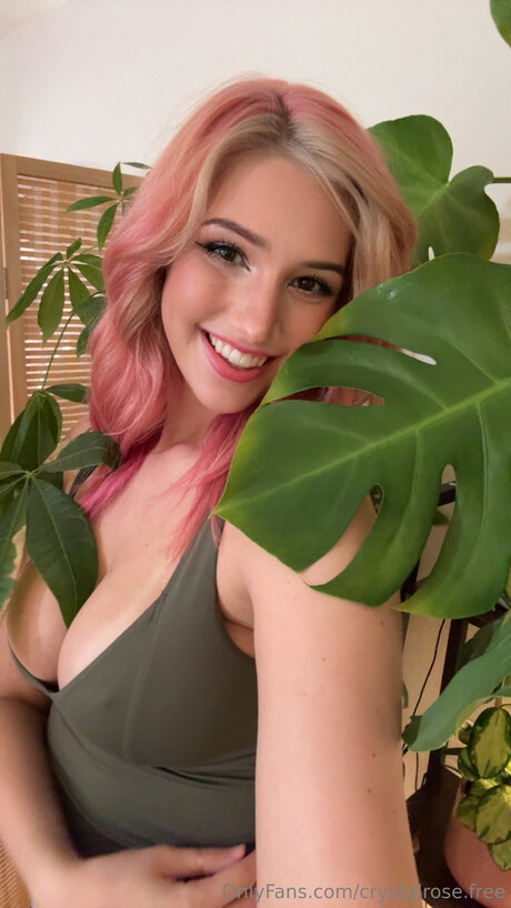 Crystalrose Free