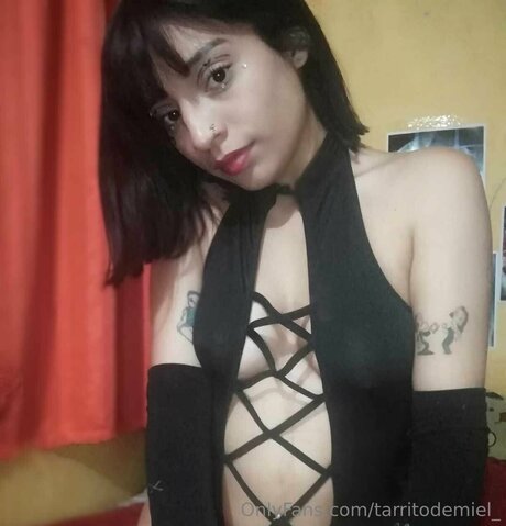 Tarritodemiel