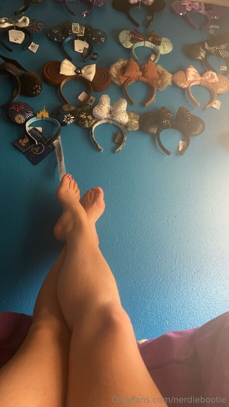 Nerdiebootie