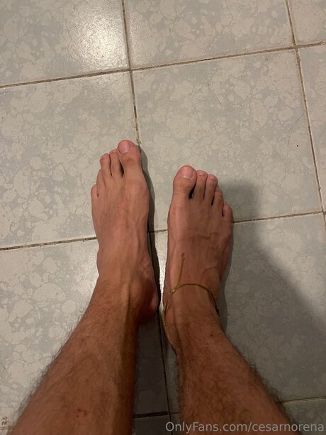 Cesarnorena