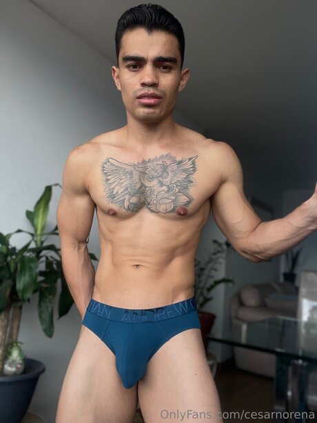 Cesarnorena