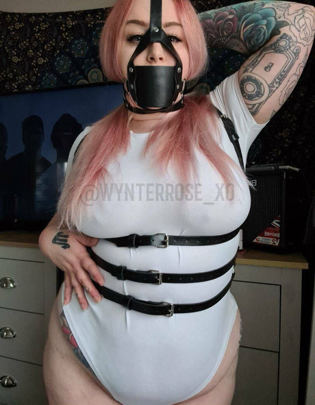Thebbwbible