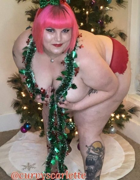 Thebbwbible