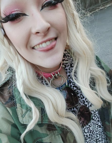 Maddisonsins