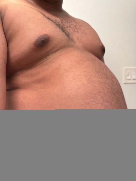Thefatboygains
