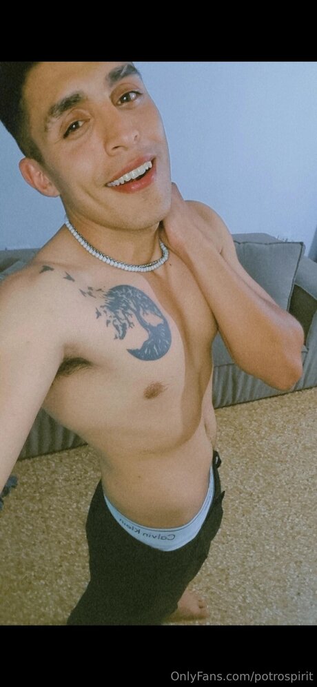 Foto desnuda filtrada de OnlyFans de Potrospirit