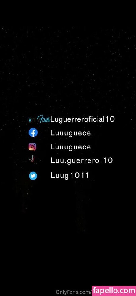 Luguerreroficial10