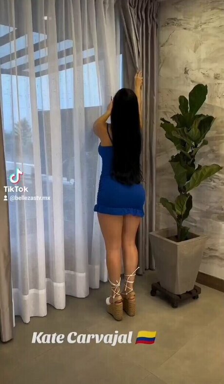 Katecarvajal