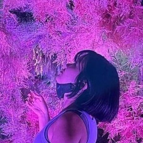 Hellinifit